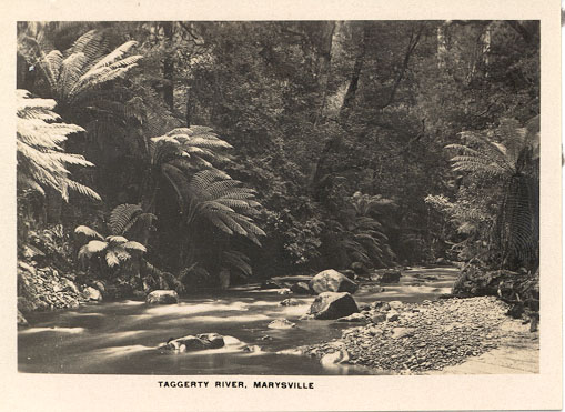 Taggerty river, Marysville