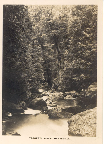 Taggerty river, Marysville