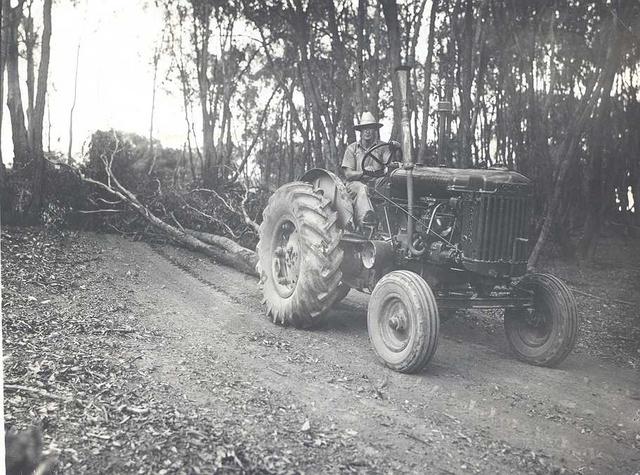 Jim Shaw working on erosion control near Goulburn Breakaway. Acheron. 1949