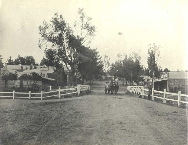 Grant Street. Alexandra featuring horse drawn carriage.