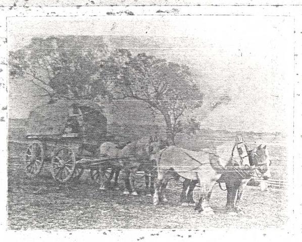 Thomas James Popple of Eildon Station.