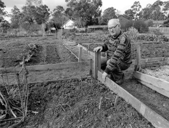 Community gardens