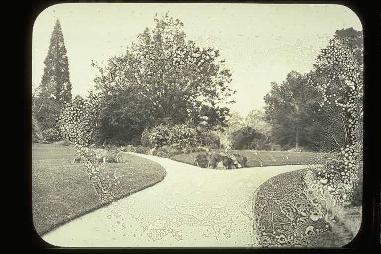 Footscray Park