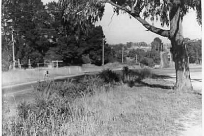 Springvale and Canterbury Roads, Forest Hill