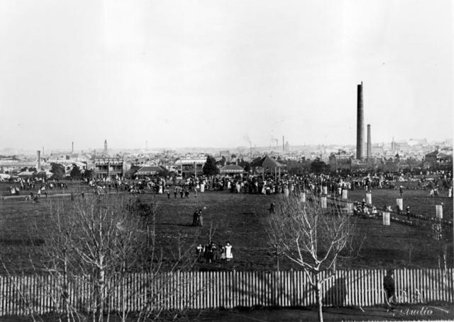 Darling Gardens looking south from North Terrace