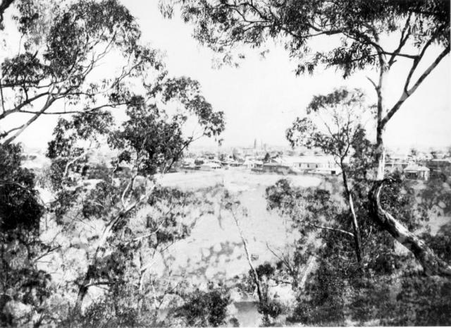 View of Collingwood looking across the Yarra from Studley Park