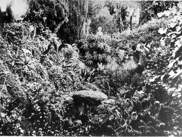 'St Helier's' garden