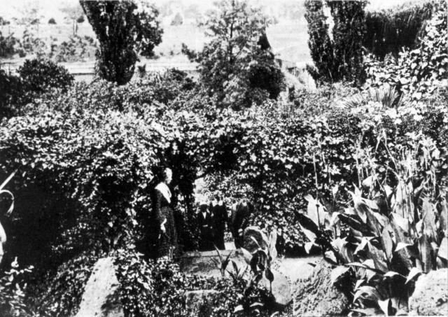 'St Helier's' garden