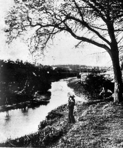 The grounds of 'Mikado' 96 Trenerry Crescent