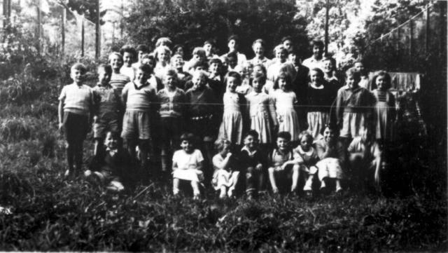 Gipps Street Methodist Sunday School picnic to Ferny Creek