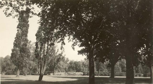 Edinburgh Gardens, North Fitzroy