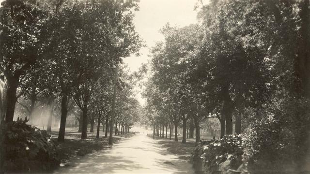 Edinburgh Gardens, North Fitzroy