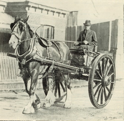 Royal Agricultural Show 1924, Richmond