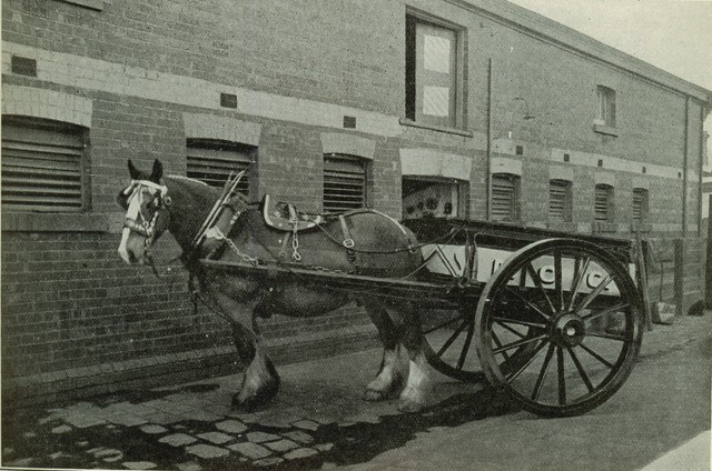 Horse and dray, Richmond
