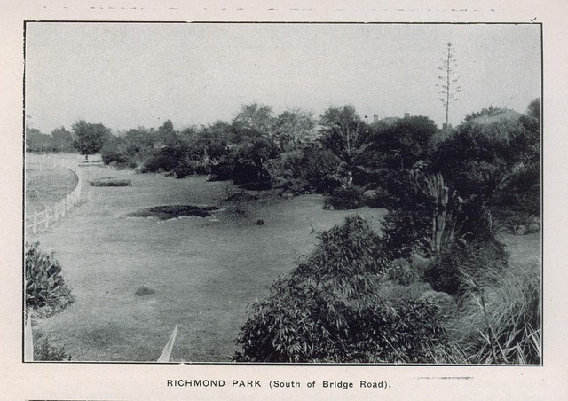 Richmond Park (south of Bridge Road), Richmond