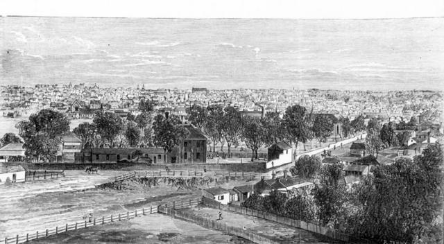 Collingwood