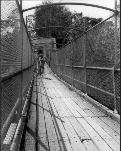 Collins bridge
