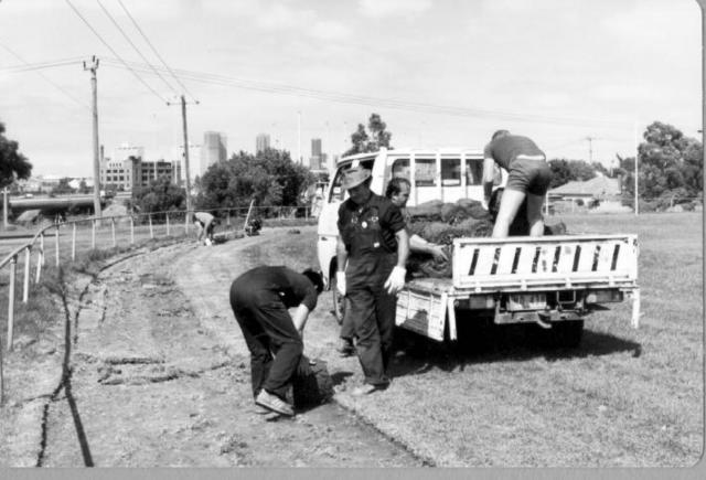 The turf collectors