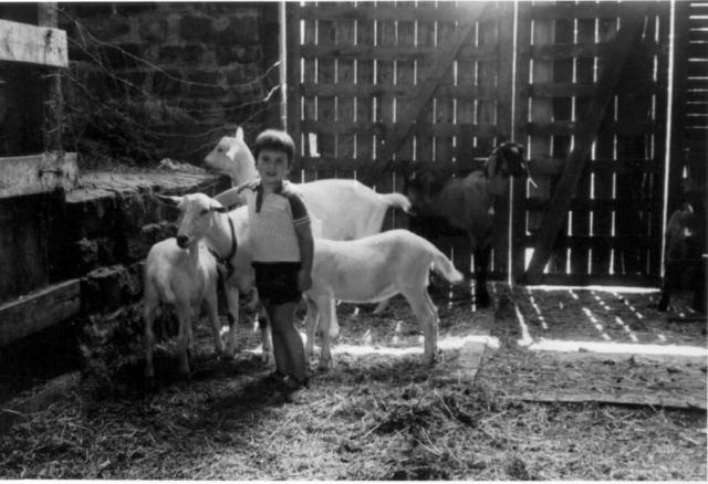 Nick and goat at Children's Farm