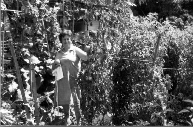 Home garden