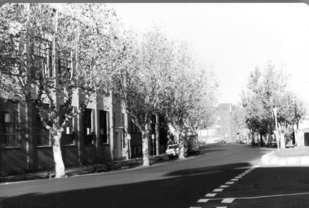 Trenerry Crescent