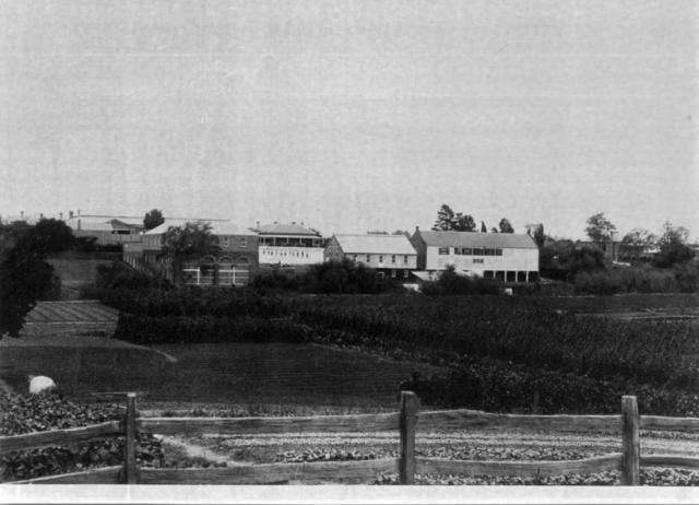 Alma site from Young Street