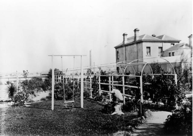 12 North Terrace - garden