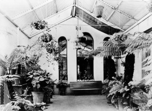 12 North Terrace - fernery