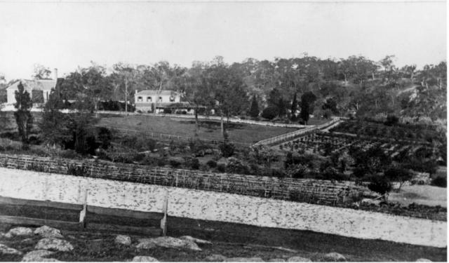 The Convent of the Good Shepherd and its fields.