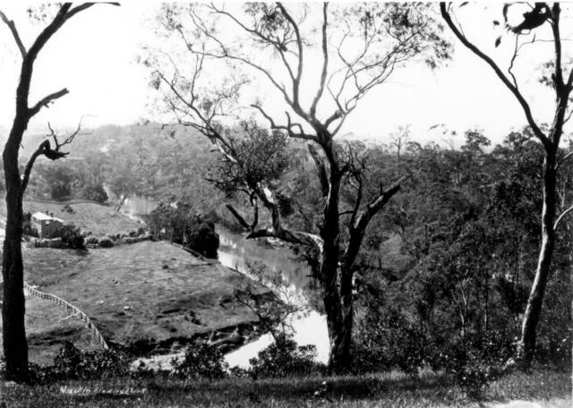 Yarra view from Studley Park