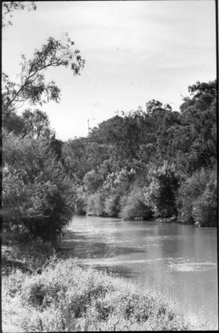 The Yarra near the farm