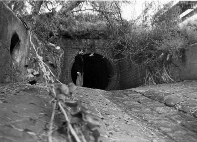 Brick drain