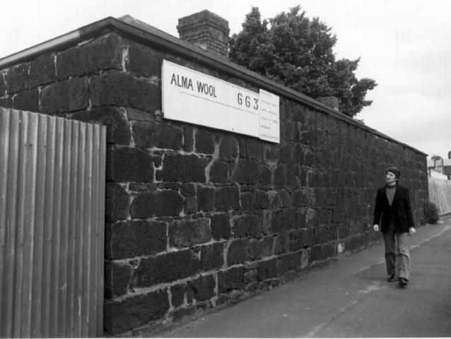 Alma Wool