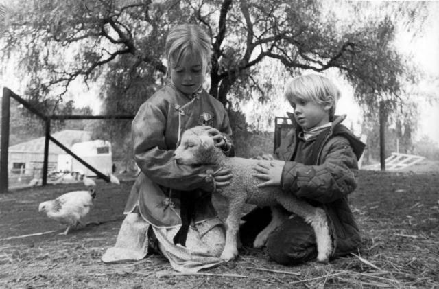 Kate and Patrick Kendall with lamb