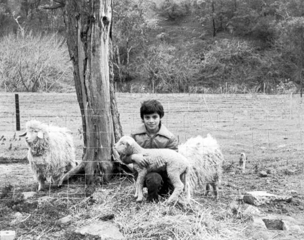 Boy with lamb