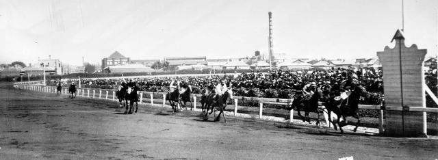 Hawthorn Handicap won by Directly