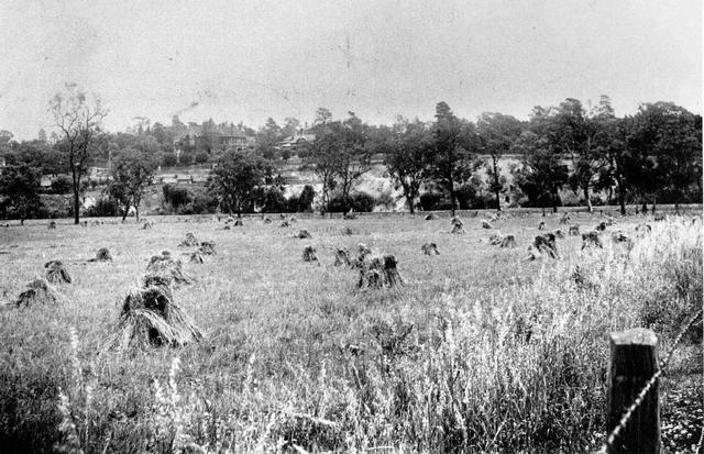 Richmond Park